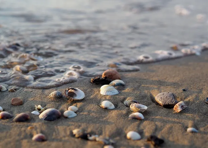 Luminous Flat 80m From The - Beahost 公寓 比比翁